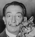 Libri di Salvador Dali
